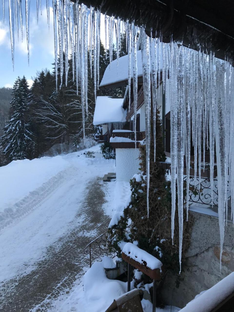 Landhaus Preissinger Hotel Warmensteinach Eksteriør billede